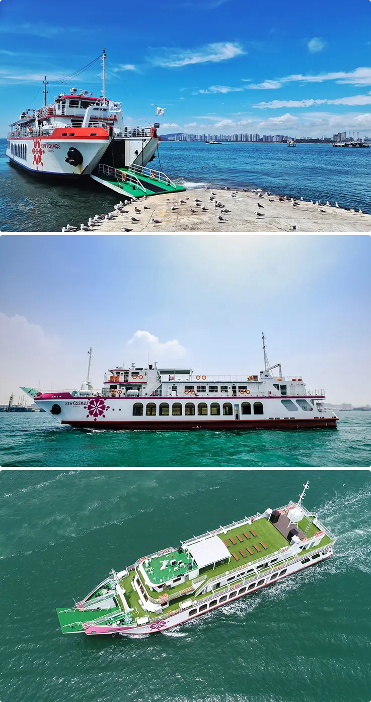 Three-deck New Cosmos sightseeing cruise docking and sailing across open coastal waters.