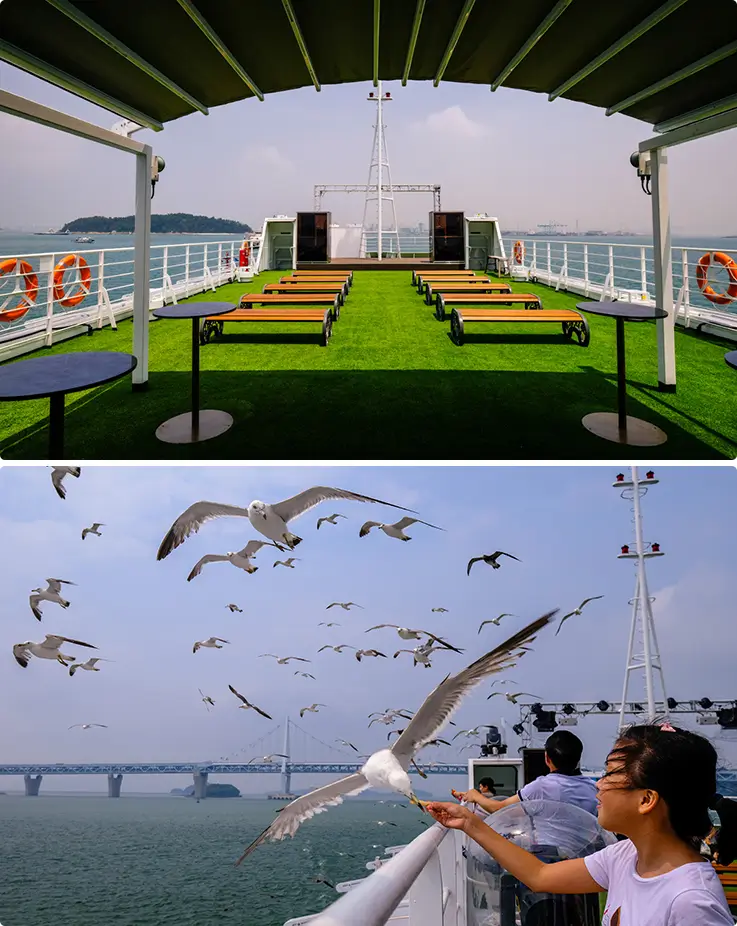 Rooftop lounge deck and seagulls flying alongside passengers during feeding time.
