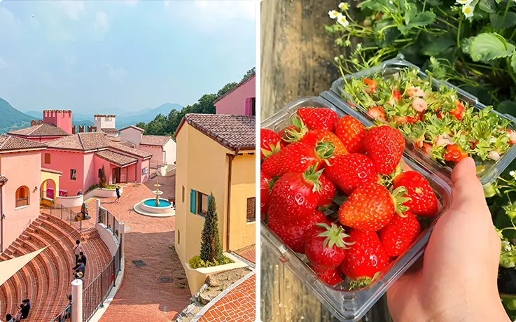 Beautiful spring scenery at the Italian Village in Gapyeong, and a person enjoying strawberry picking at a farm