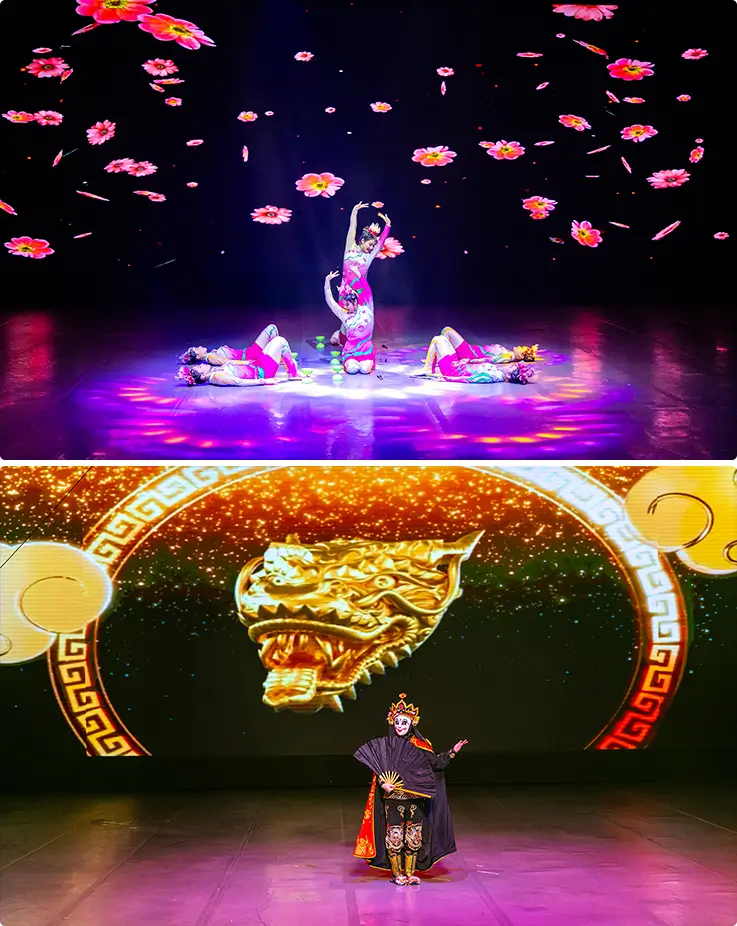 Performers showcasing various skills during the Jeju Art Circus Show