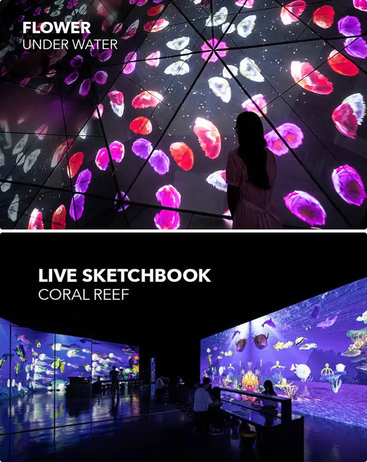 Arte Museum exhibition in Jeju