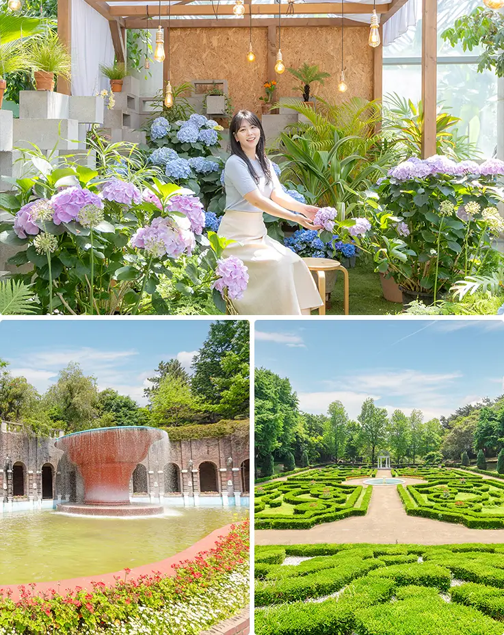Beautiful spring landscapes at Yeomiji Botanical Garden in Jeju