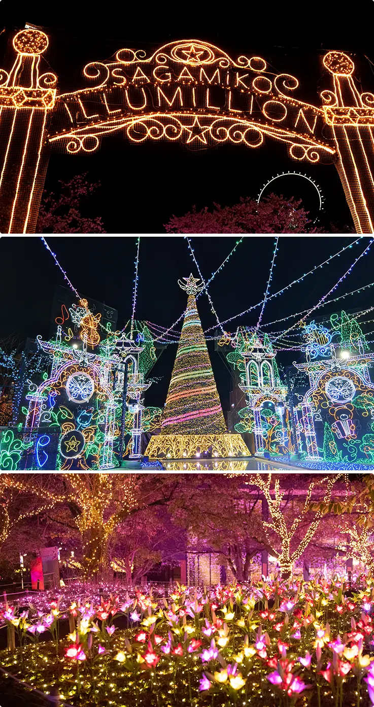 Illumination at Sagamiko Mori Mori