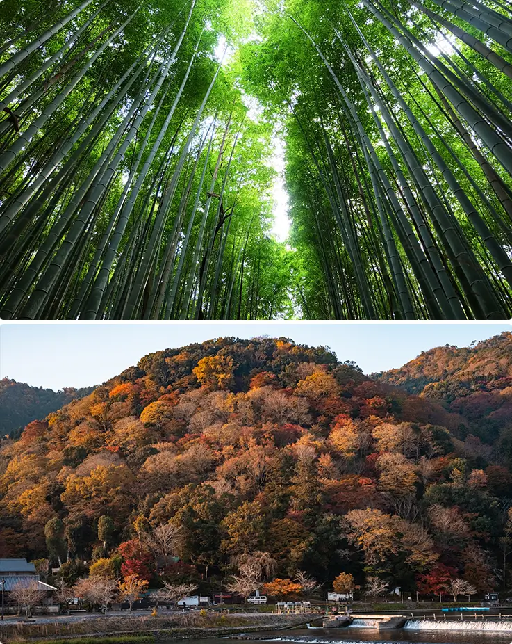 Breathtaking panoramic views of Arashiyama in Kyoto