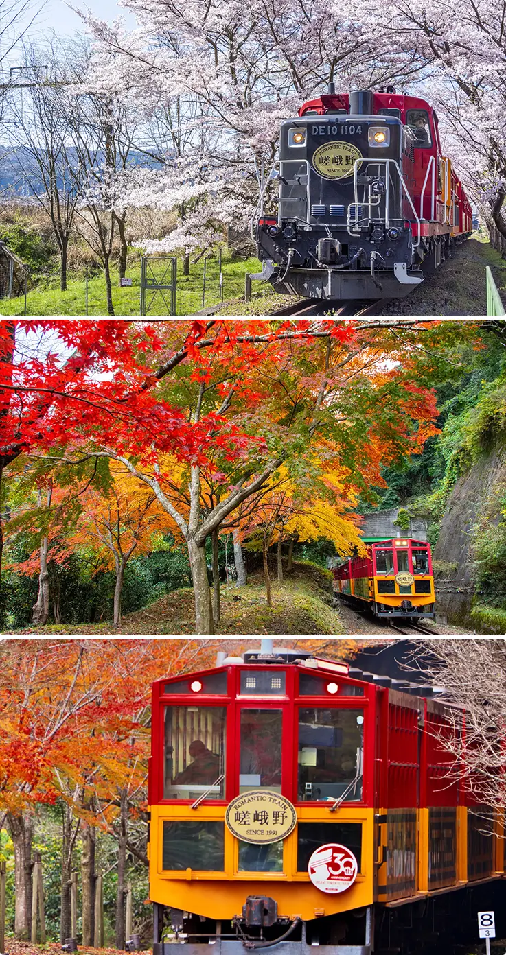 Kyoto Sagano Romantic Train with beautiful seasonal landscapes