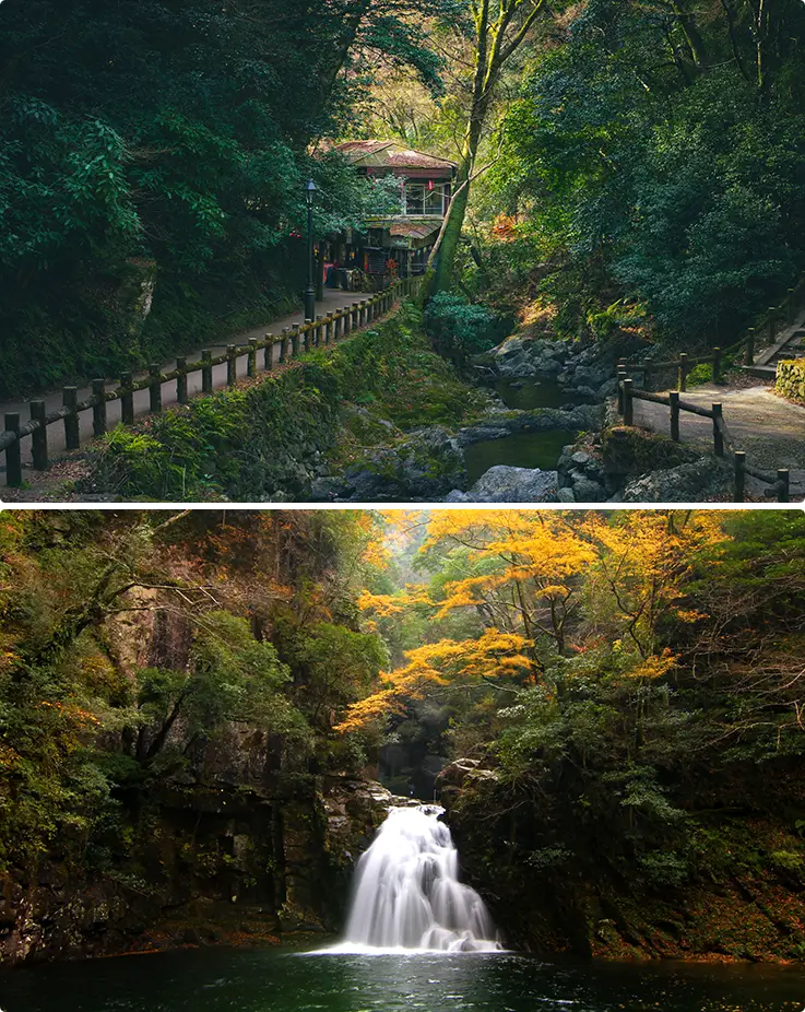 Forest path and golden cascading waterfall along a scenic valley trail.
