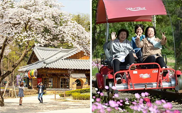 People enjoying flower views at Nami Island in Chuncheon and Gangchon Rail Park