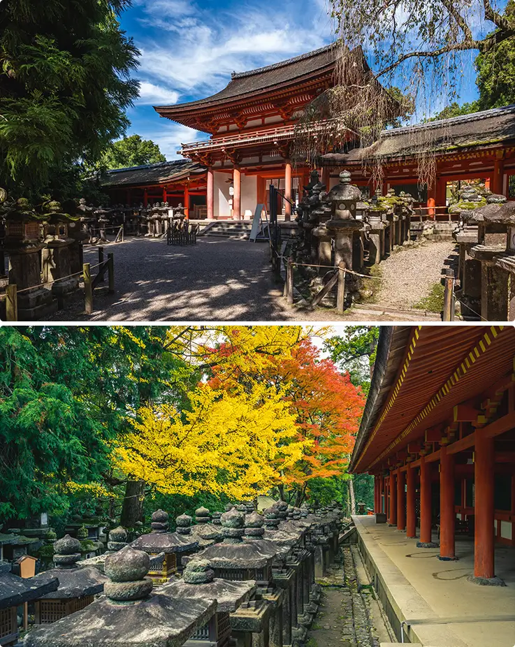 Vermilion shrine gate and stone lantern pathways glowing beneath autumn foliage colors.