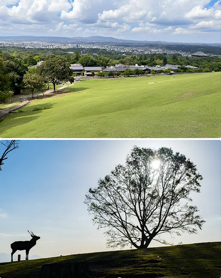 Panoramic landscapes of Mt. Wakakusa in Nara Park