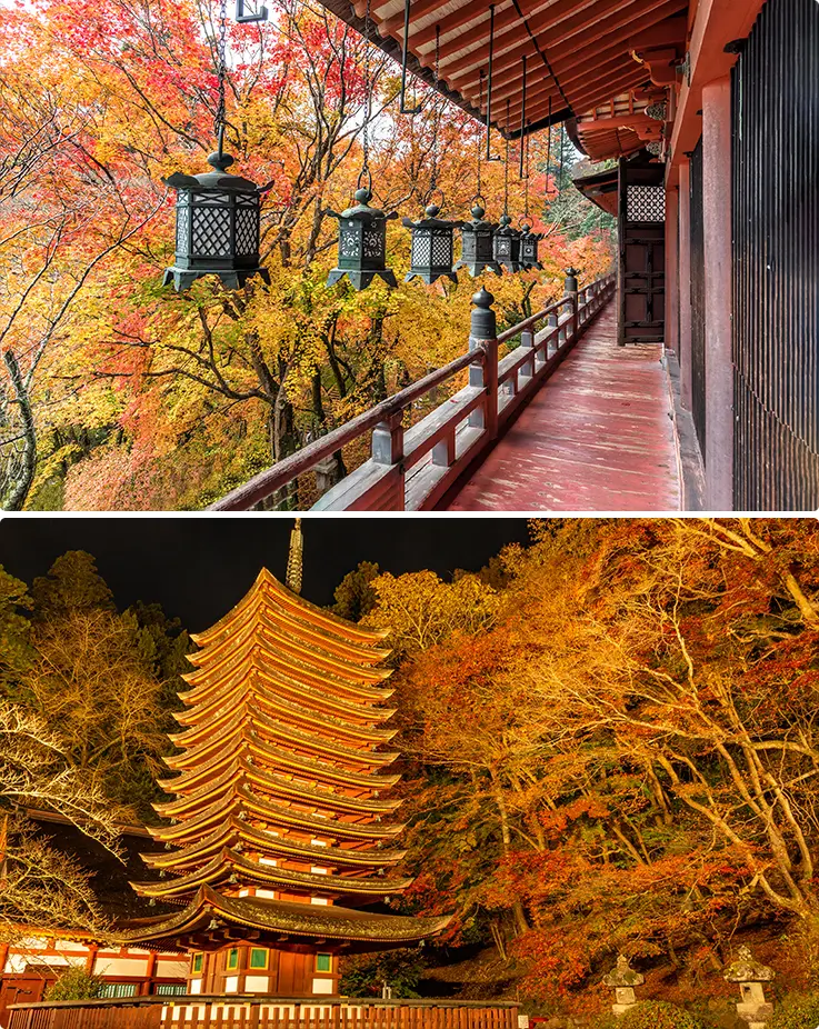 Lantern-lined wooden walkway and illuminated pagoda glowing amid vibrant autumn maples.