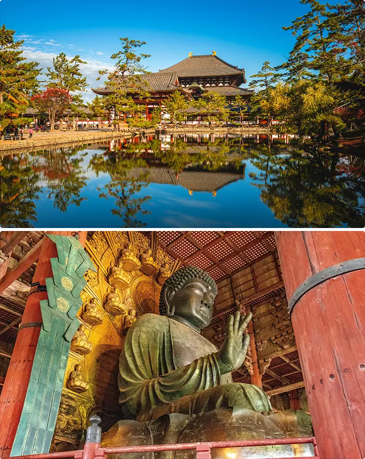 Grand temple hall reflected in still water beside a towering ancient Buddha statue.
