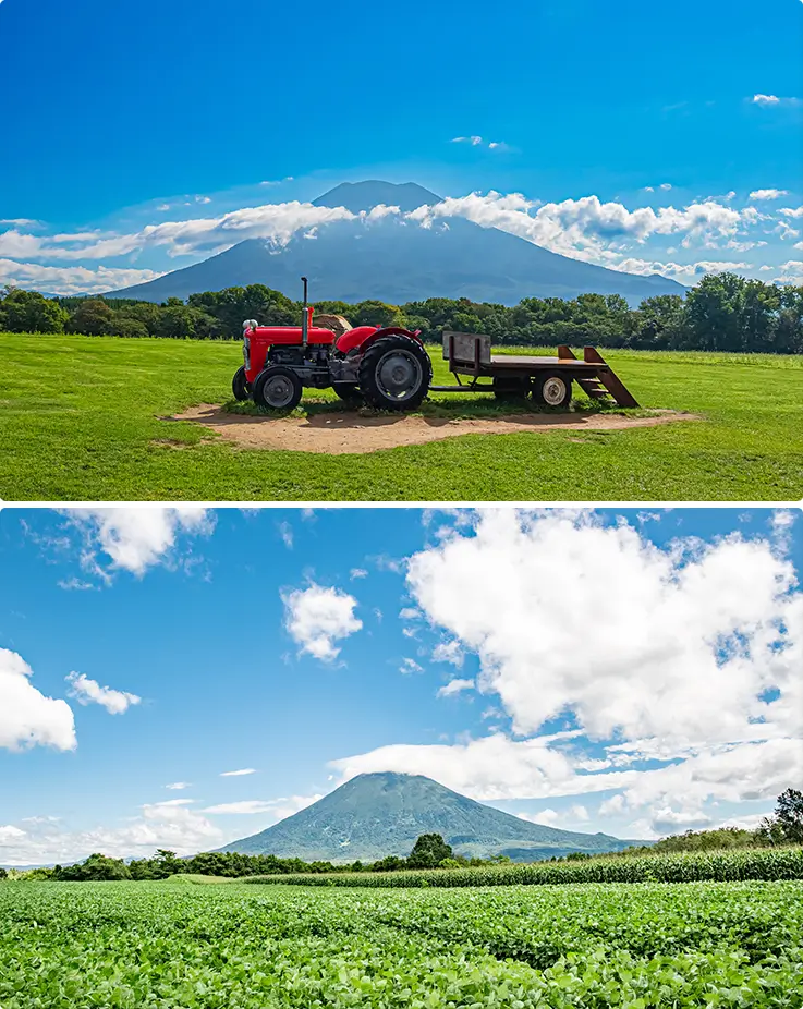 Panoramic views at Niseko Takahashi Dairy Farm in Hokkaido