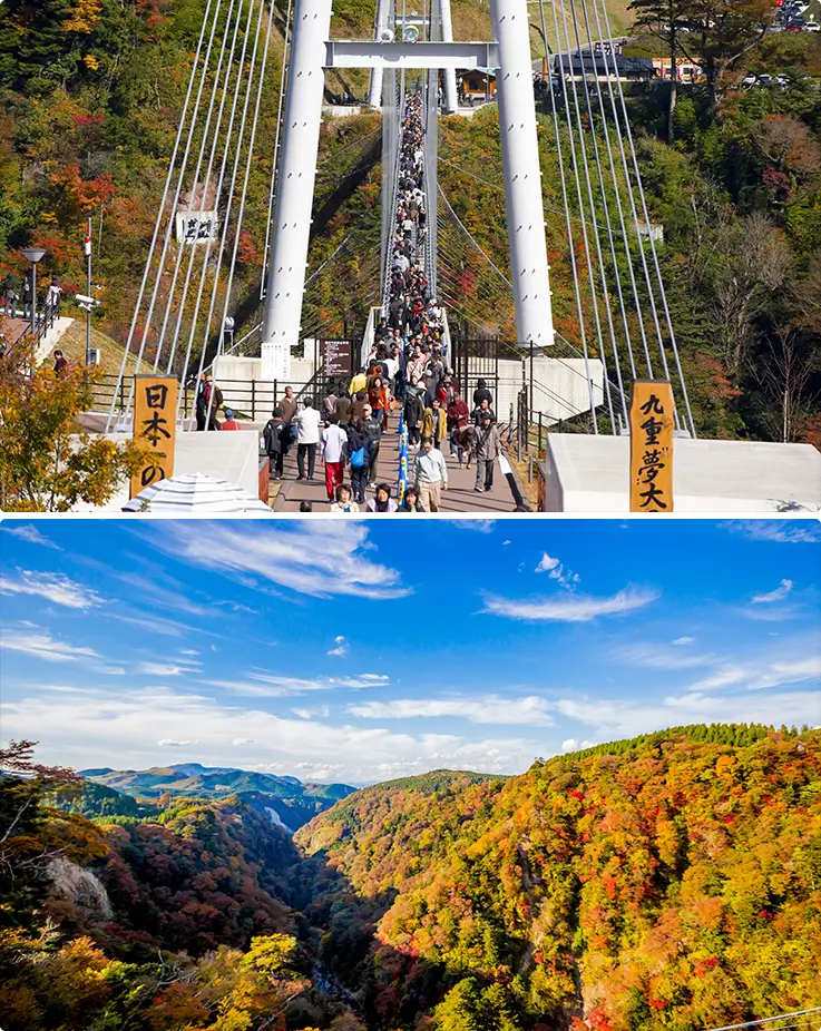 Crosses Japan's highest suspension bridge overlooking a stunning autumn foliage valley.