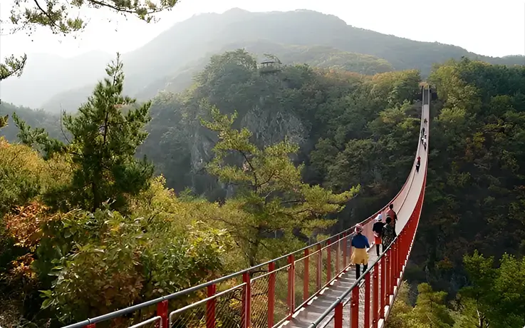 Overwhelming Gamaksan Mountain Suspension Bridge in Paju