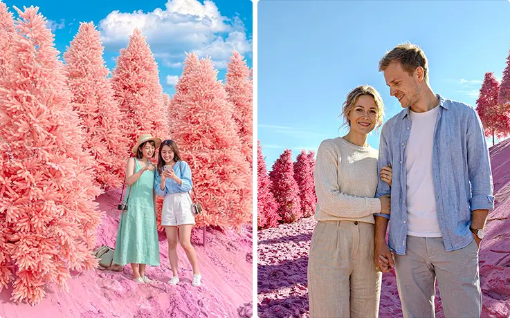 Iconic pink sand zone at Pocheon Herb Island
