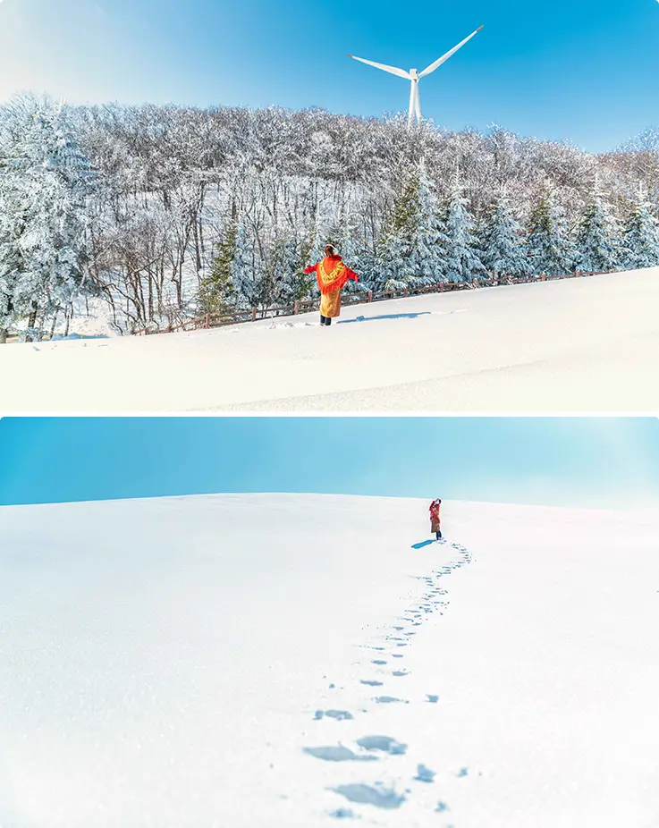 Snow-covered hill with wind turbine and footprints across fresh powder at Samyang Ranch.