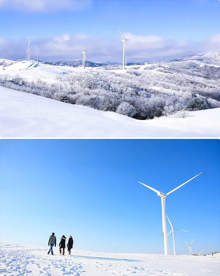 Wind turbines rise above snow-blanketed highland hills at Daegwallyeong Samyang Ranch trails.