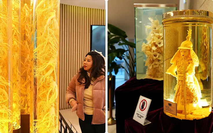 Visitor exploring illuminated ginseng root displays inside the Seoul Cheongha Ginseng Museum.