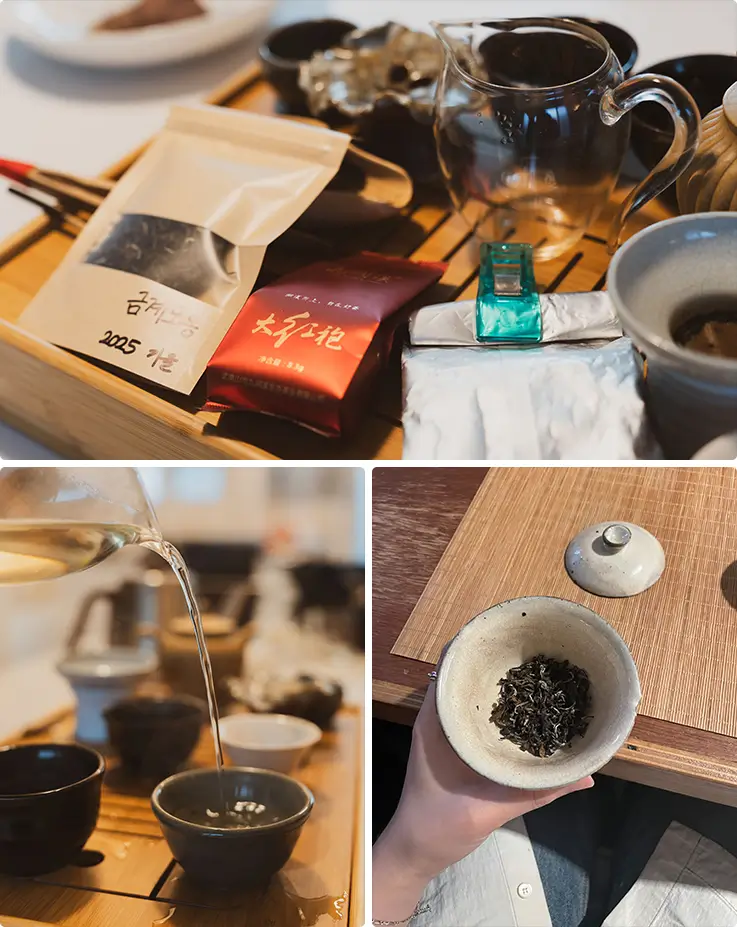 Assorted premium traditional Korean tea leaves and brewing tools for tasting session.