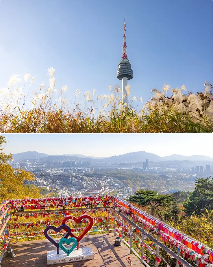Iconic N Seoul Tower and Love Locks in Namsan Park
