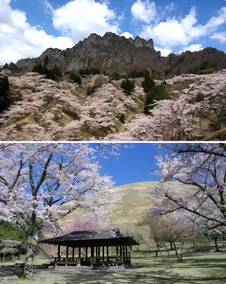 Stunning panoramic views at Sakura no Sato in Shizuoka