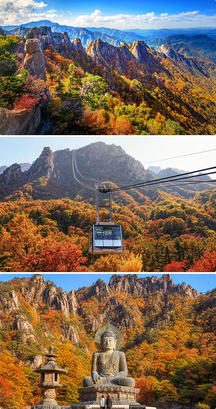 Seoraksan autumn foliage, cable car and Great Unification Buddha statue in Korea