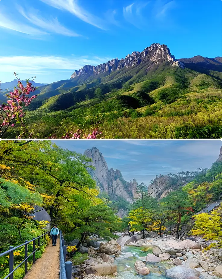 Seoraksan's granite peaks rise above blooming azaleas and a scenic hiking trail.