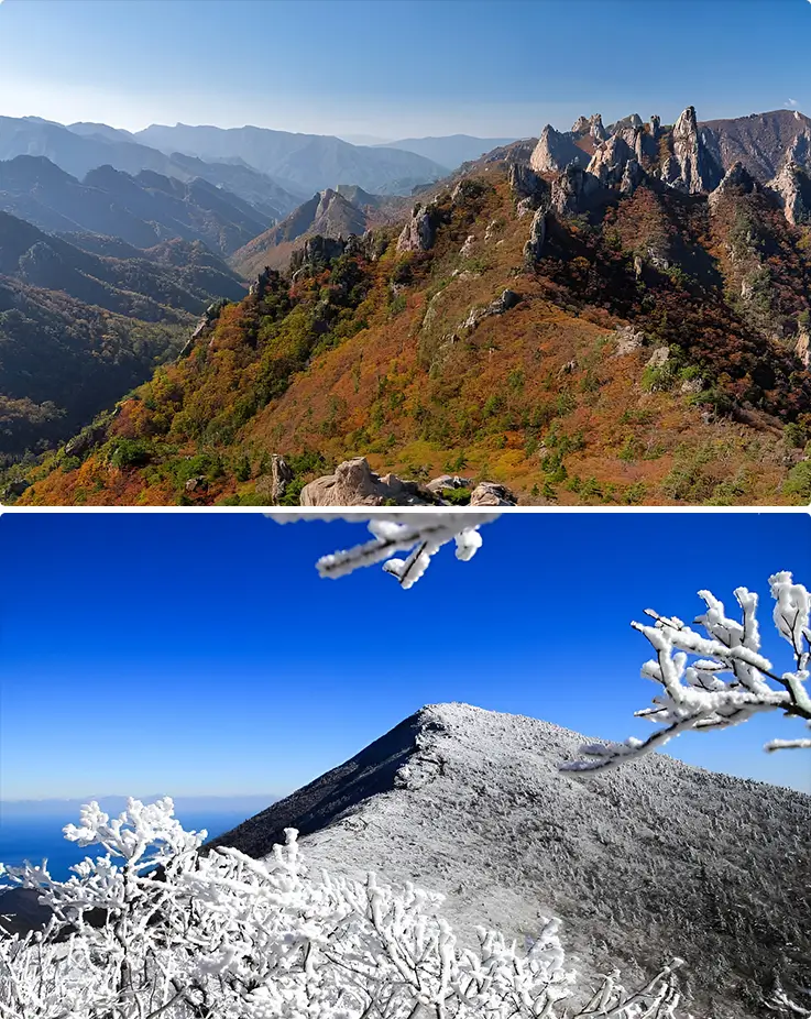 Autumn foliage and frosted winter peaks reveal Seoraksan's dramatic, ever-changing mountain beauty.