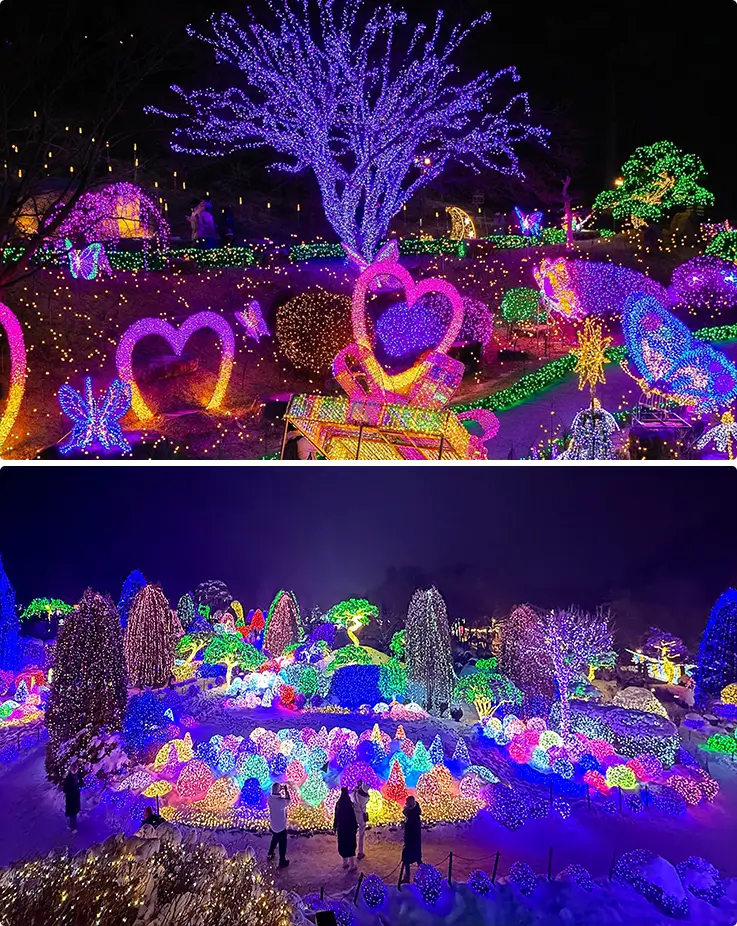 Garden of Morning Calm lighting festival in winter