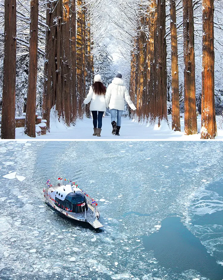 Nami Island covered in snow in winter