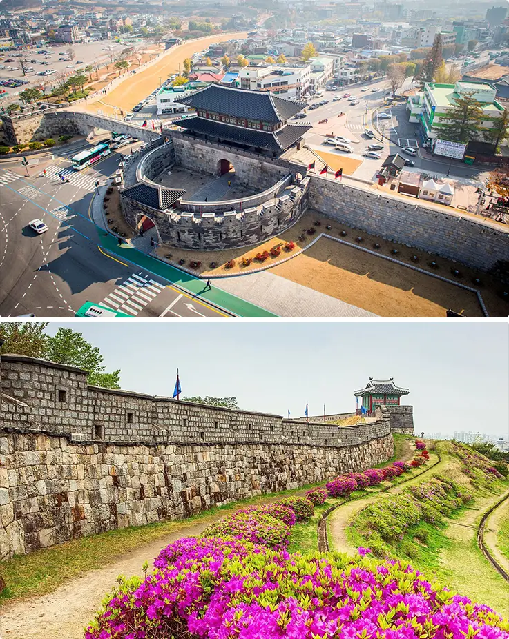 UNESCO-listed Hwaseong Fortress featuring aerial views and vibrant spring azalea blooms.