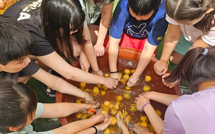 Participants washing fresh fruit together for a traditional Korean fruit cheong-making experience.