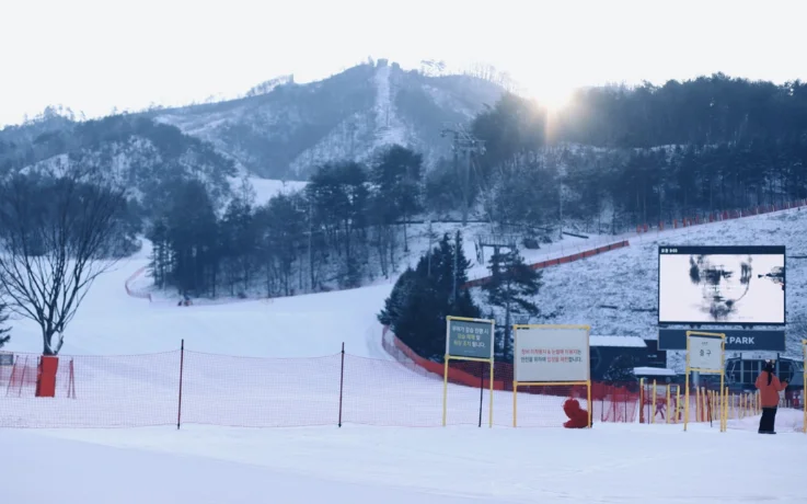 Sunrise over wide, gentle Oak Valley ski slopes framed by snowy mountains and pine forest.