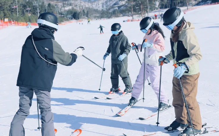 Small group ski lesson with an instructor demonstrating pole technique on a sunny beginner slope.