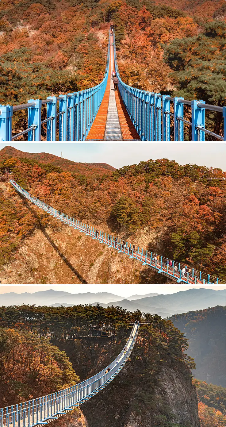 Suspension bridge stretching across a vivid red and orange autumn canyon.