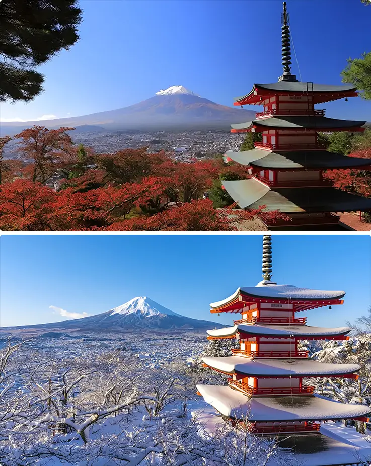Mt. Fuji views in autumn and winter at Arakurayama Sengen Park in Yamanashi