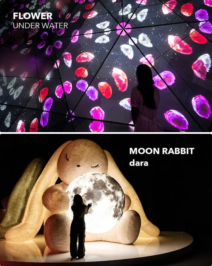 Media art installations at Yeosu Arte Museum