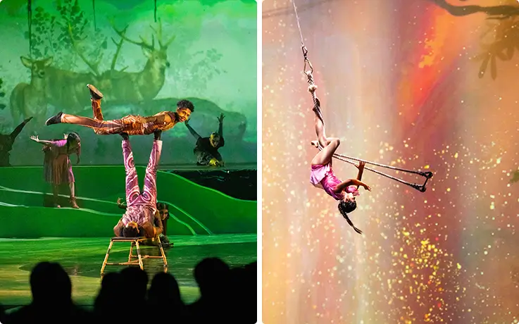 Everland 50th anniversary show with stunning acrobatic balancing and aerial rope acts.