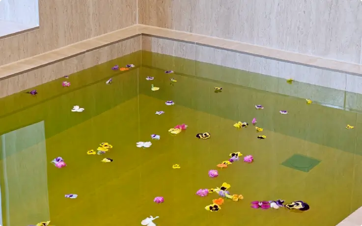 A bathtub with floating flower petals