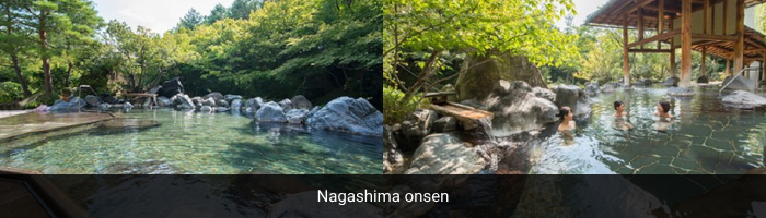 Nagoya Mitsui Outlet Park, Nabana no Sato, & Onsen Tour from Nagoya ...