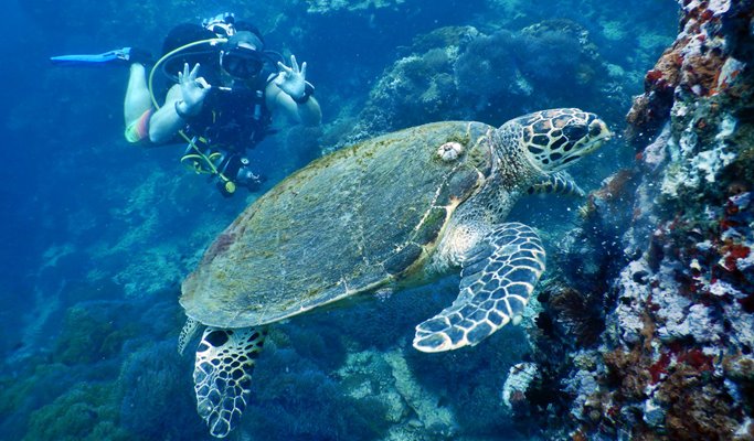 PADI Scuba Diving Certification 2D1N Course in Koh Samui