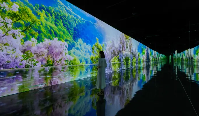 Paju Museum Hei Discount Ticket