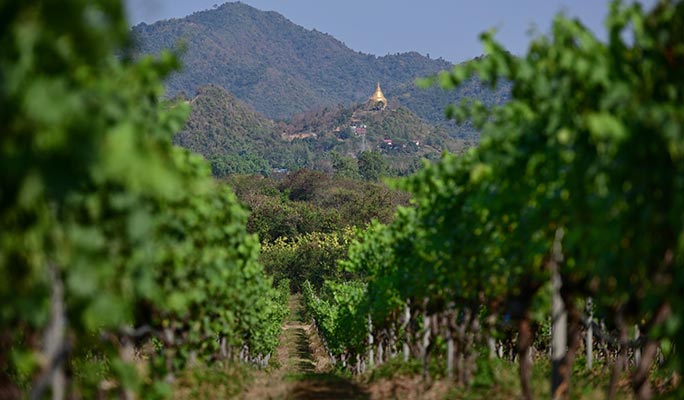 Pa La-U Waterfall Trekking 1 Day Private Tour (+ Vineyard option) - from Hua Hin