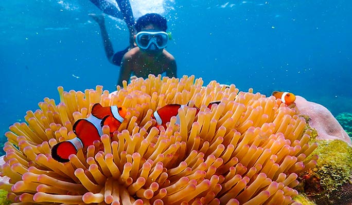 Pattaya 3 Islands Tour by Ultimate Party Catamaran (+ Snorkeling/Lunch) (+ Hotel Transfer option)