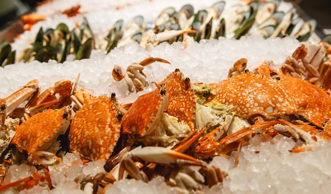 Pattaya Hard Rock Hotel BBQ Dinner Buffet at Starz Diner (+ Foam party option)