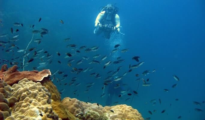 PADI Open Water Diver Course in Pattaya