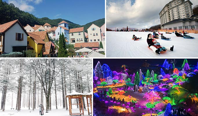 Elysian Gangchon Ski Resort + Nami Island + Petite France + Garden of Morning Calm Lighting Festival 1 Day Tour