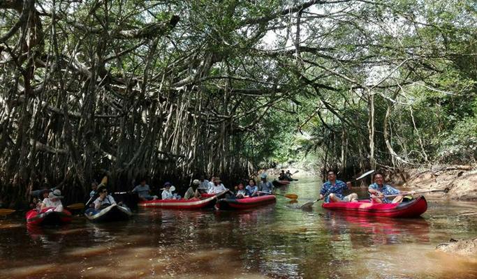 Sri Phang Nga National Park & Takua Pa Old Town 1 Day Tour - from Khao Lak (+ Lunch/Canoeing) (+ Transfer)