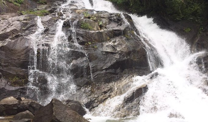 Sri Phang Nga National Park & Takua Pa Old Town 1 Day Tour - from Khao Lak (+ Lunch/Canoeing) (+ Transfer)