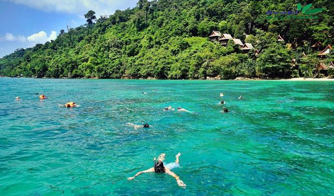 Phi Phi Islands & Krabi 4 Islands Early Bird Tour by Speedboat (+Thai Lunch/Snorkeling) - from Krabi